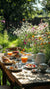 Planting Wild Flowers