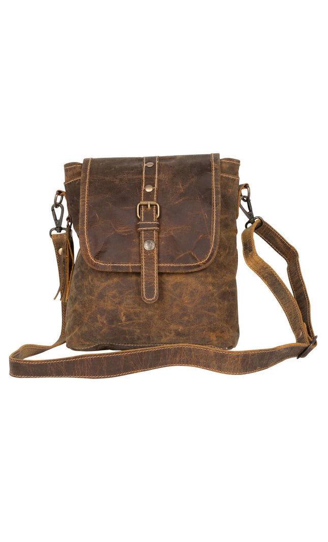 Brown Beauty Leather Bag